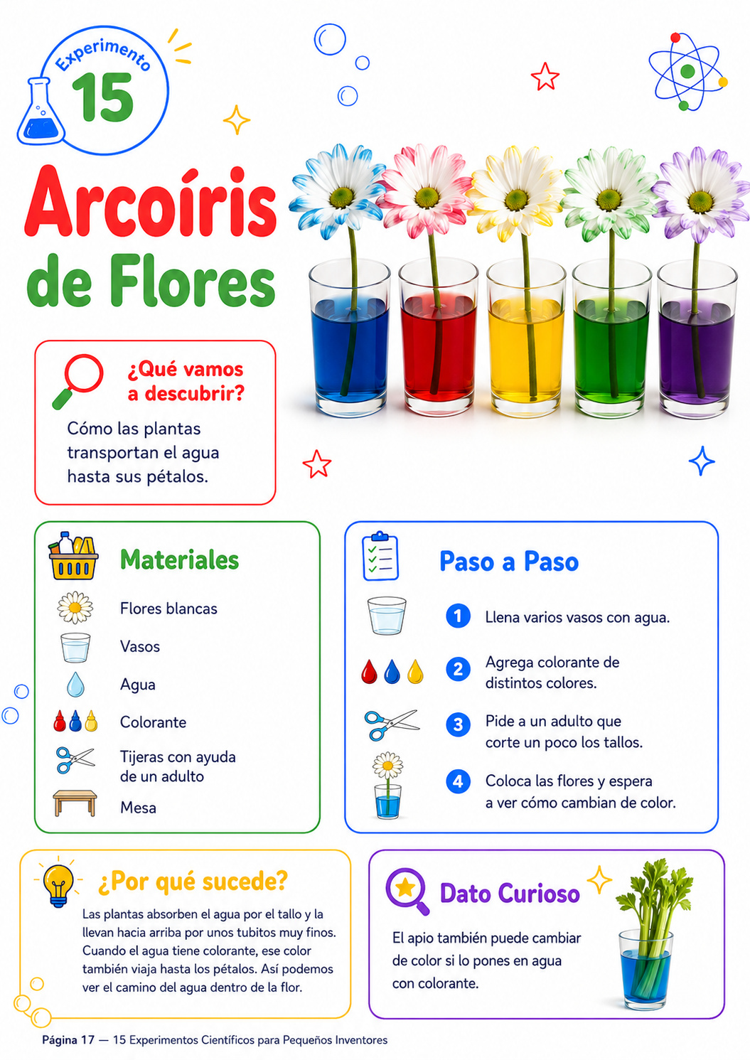 Experimento científico 15: arcoíris de flores